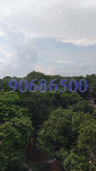 Rich Mansion (D10), Condominium #152576162